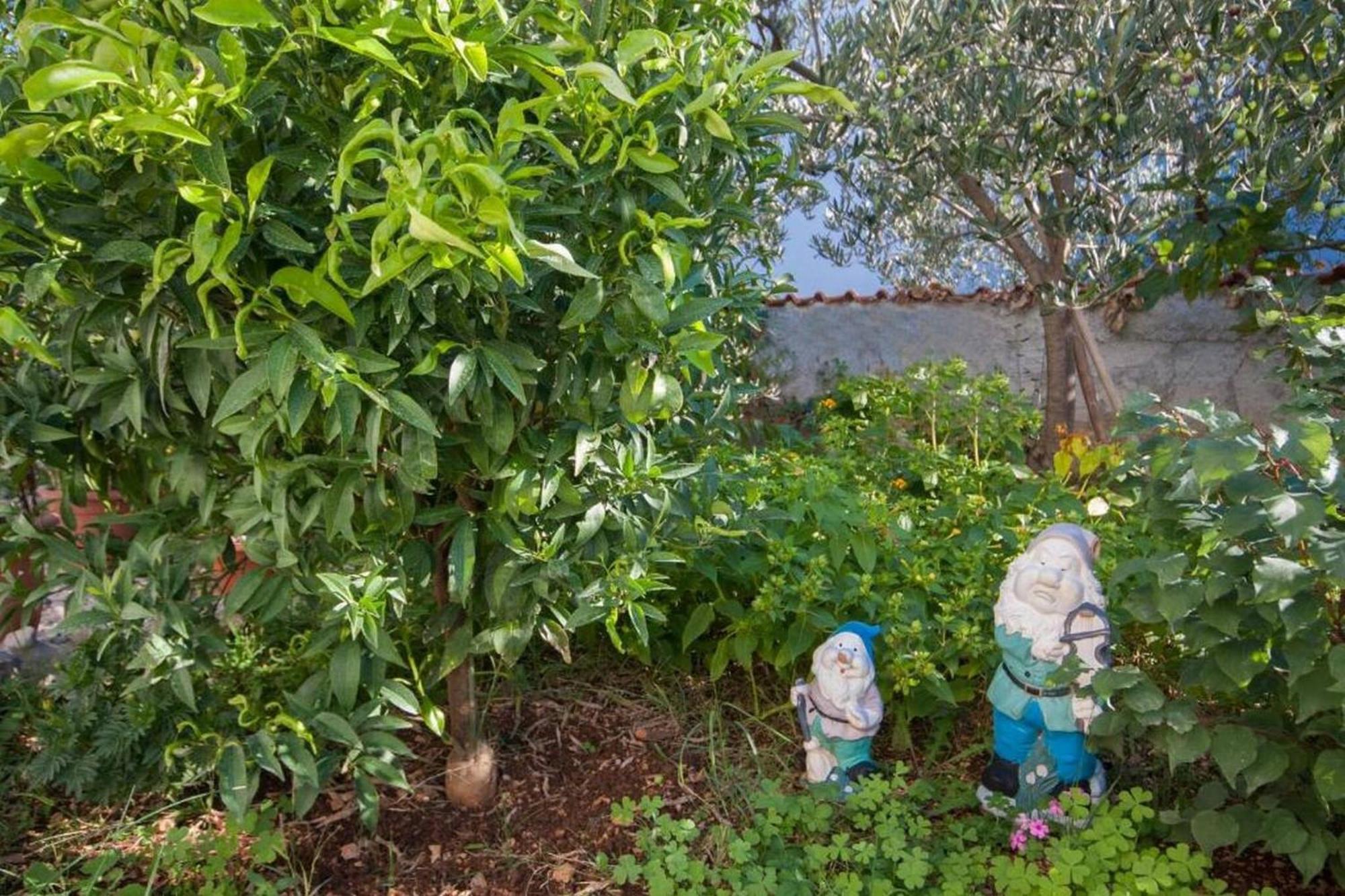 ברודאריצה Apartments Zdenka מראה חיצוני תמונה